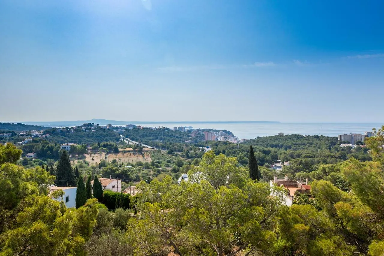 Semesterbostad Big Villa Can Pedro In Palma De Mallorca