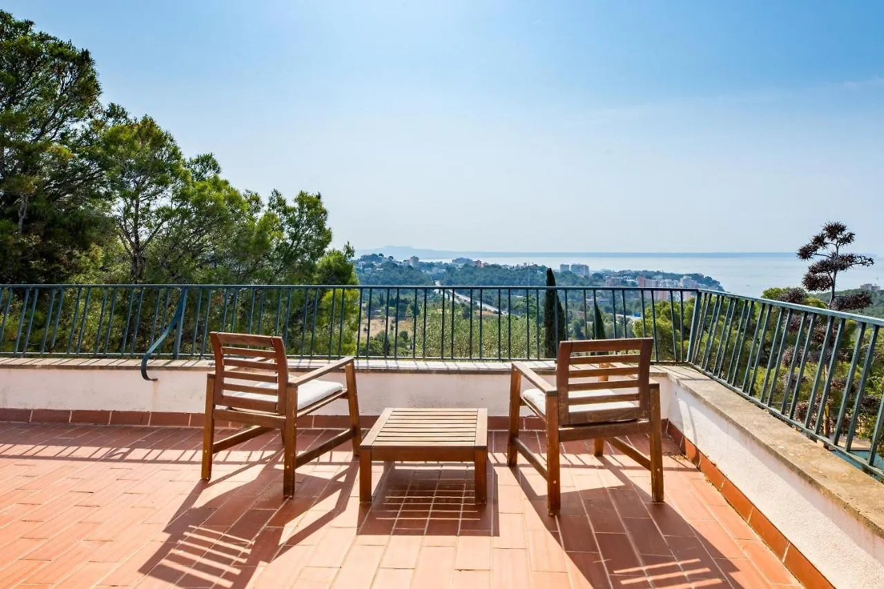 Semesterbostad Big Villa Can Pedro In Palma De Mallorca Spanien